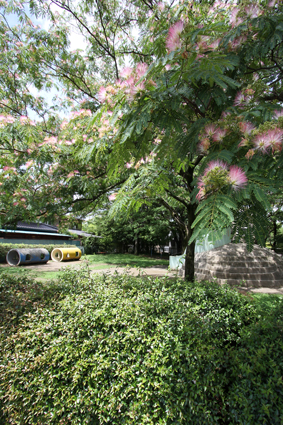 ねむの木公園03