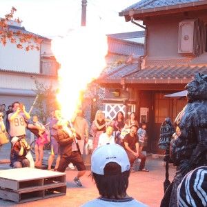 DSCN6917
