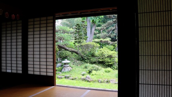 View of the garden from inside the home.