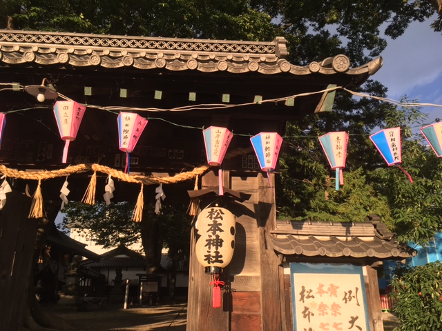 酷暑の1日　松本城の虹/フクロウのいる木