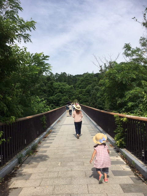 アルプス森のかけ橋