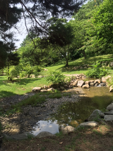 水辺広場