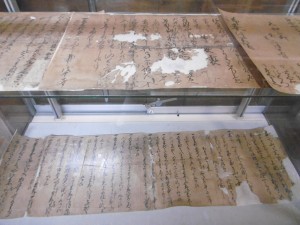 P1020560