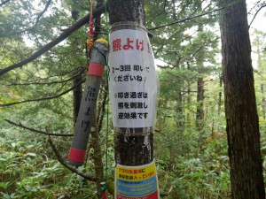 P1540731