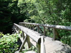 P1640704
