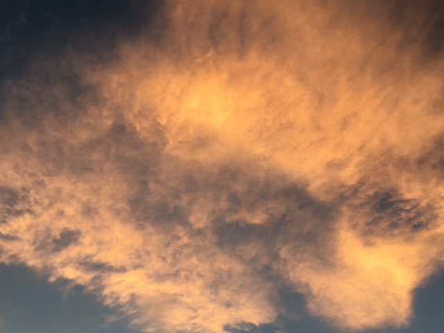 2017-8-8雲