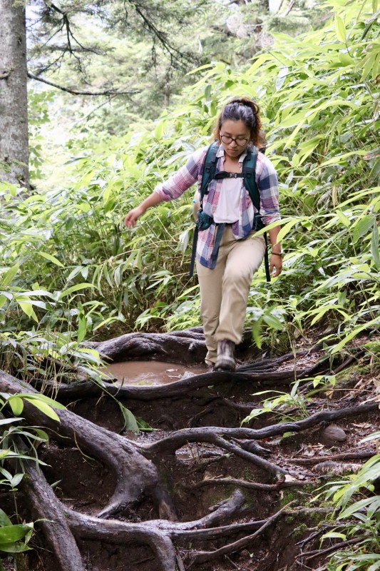 Be careful of the puddles collecting in the tree roots!