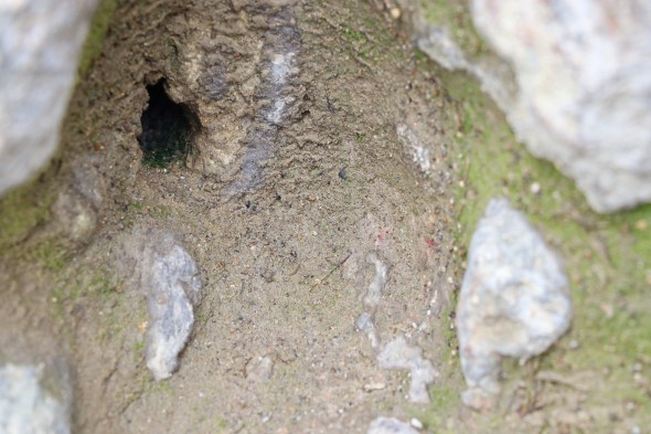 Be careful of the little gas vents on the final climb to the peak!