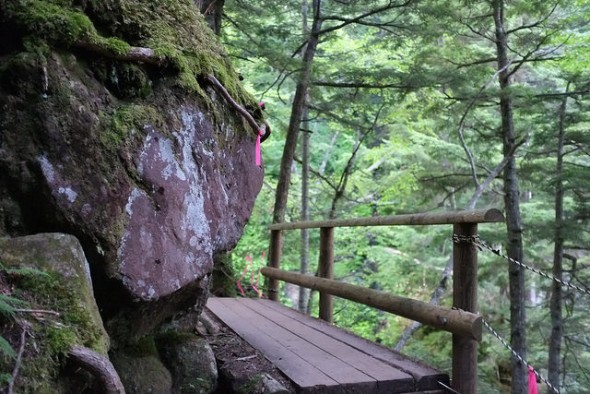 Along the trail to the waterfalls