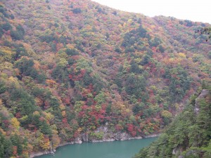 IMG_5982