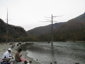 IMG_6203