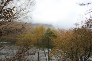 IMG_6897