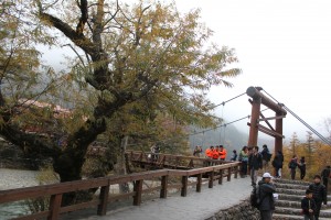 IMG_7427