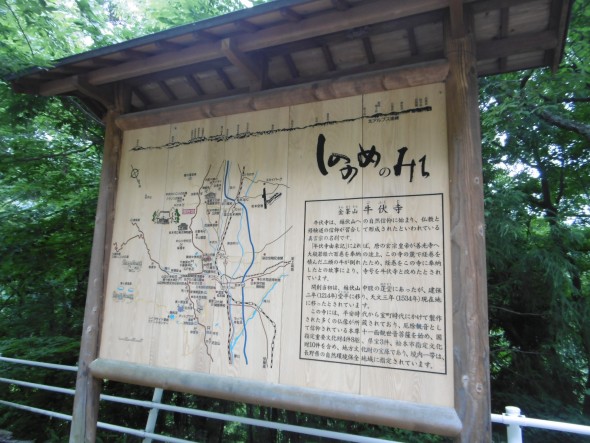 P1020574