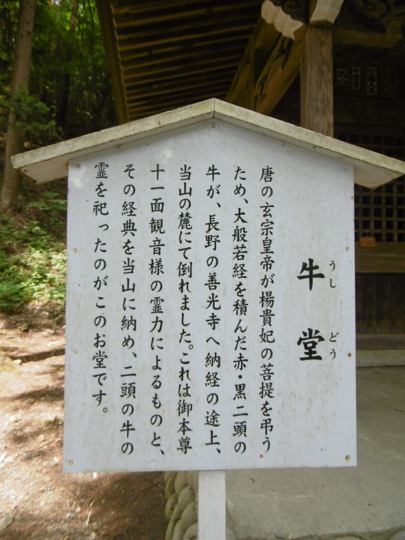 P1020577