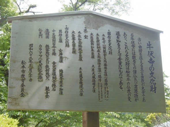 P1020583