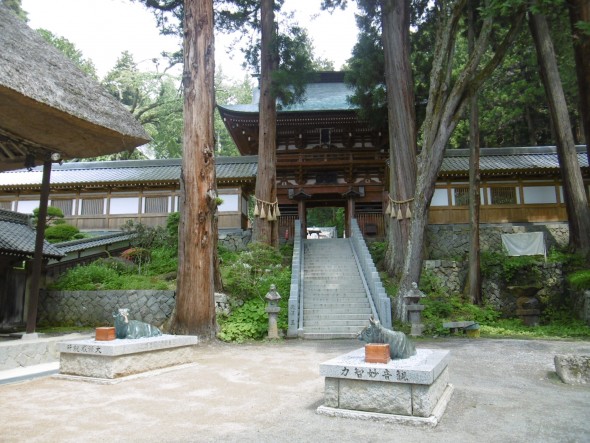 P1020593
