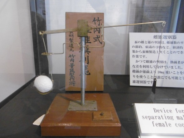 P1030004