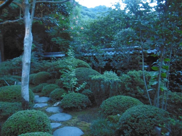 P1030194