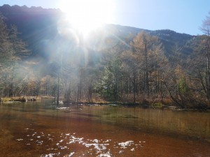 P1360177