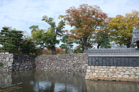 Fall colors peaking over the castle walls