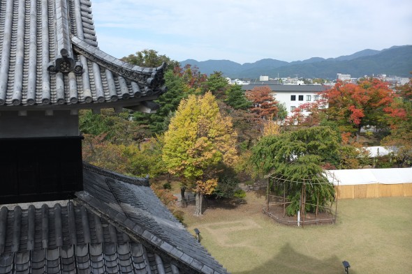 Colorful trees as seen from inside the castle tower