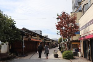 IMG_7200