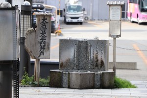IMG_7246