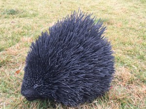 ハリネズミ？