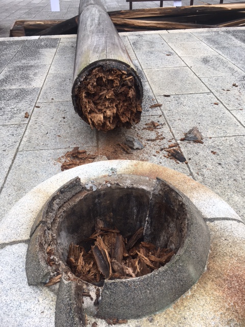 鳥居
