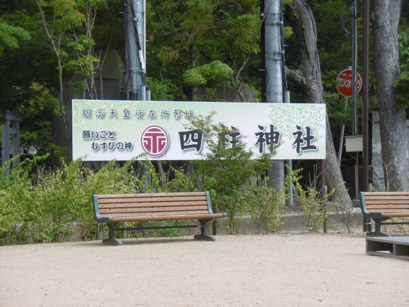 P1030383