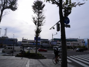 P1660455