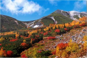 Fall leaves on Mt. Norikuradake (Photo credit: Norikura Highlands tourism website -  norikurakogen.info)