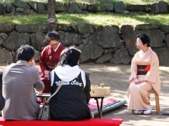 Relax with matcha and special Japanese sweets
