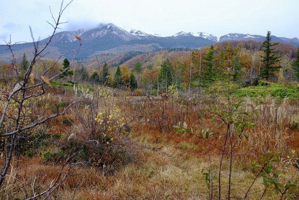 Colorful fall leaves with the snowy peaks of Mt. Norikuradake in the background