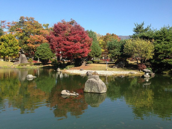 Turtles and pretty trees :)