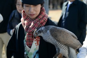 DSC_0764-300x199