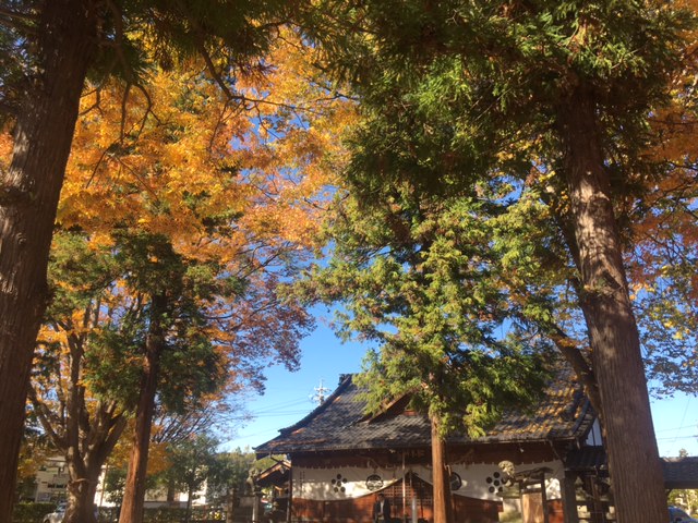 松本神社３