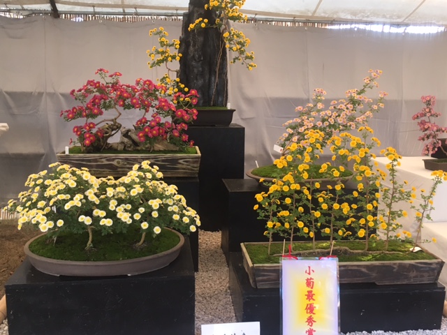 優秀賞