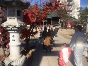 七五三