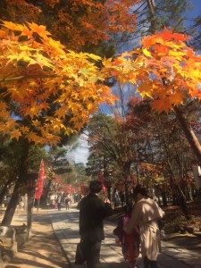 七五三四柱神社