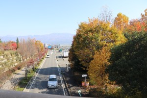 IMG_7614