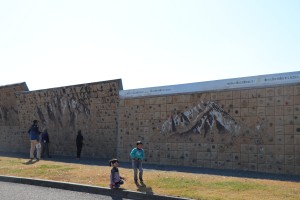 IMG_7680