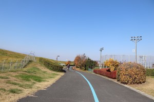 IMG_7685