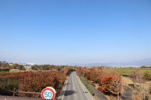IMG_7744