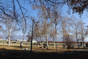 IMG_7778