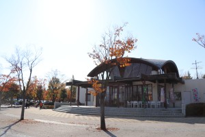 IMG_7840