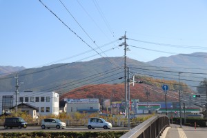 IMG_7868