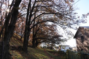 IMG_7879