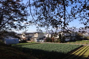 IMG_7882